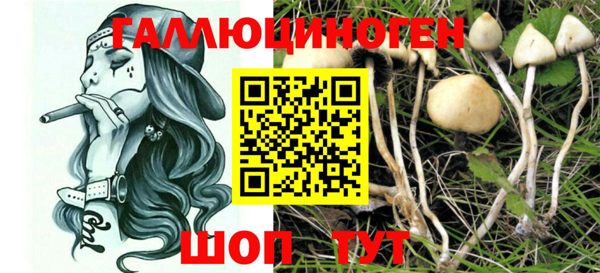 Псилоцибиновые грибы ЛСД  Вход с VPN  Гагарин 