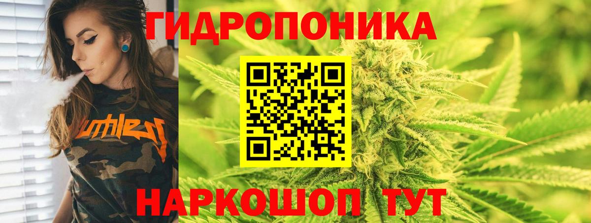Бошки Шишки ГИДРОПОН Гагарин